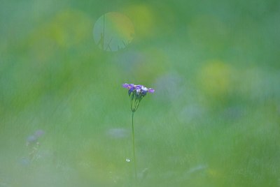 BUITEN BEELD Foto: 155814