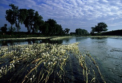 BUITEN BEELD Foto: 155835