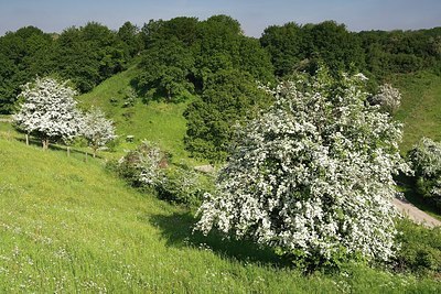 BUITEN BEELD Foto: 155836