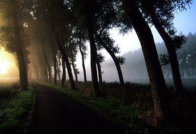 BUITEN BEELD Foto: 155837