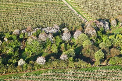 BUITEN BEELD Foto: 155841