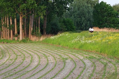 BUITEN BEELD Foto: 155868