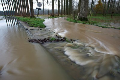 BUITEN BEELD Foto: 155889