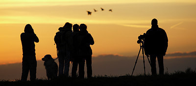 BUITEN BEELD Foto: 155894