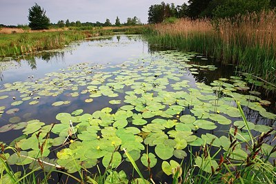 BUITEN BEELD Foto: 155905