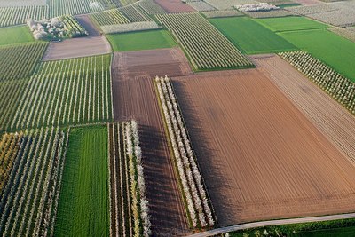 BUITEN BEELD Foto: 155928