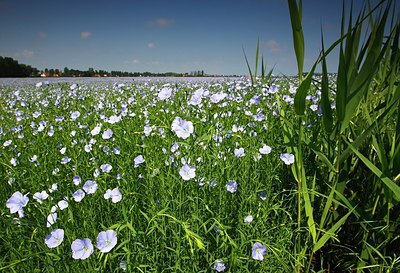BUITEN BEELD Foto: 155950