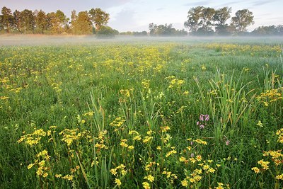 BUITEN BEELD Foto: 155951