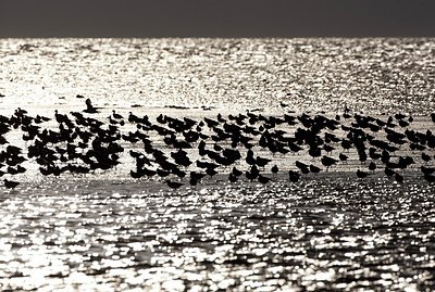 BUITEN BEELD Foto: 155972