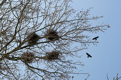 BUITEN BEELD Foto: 156026