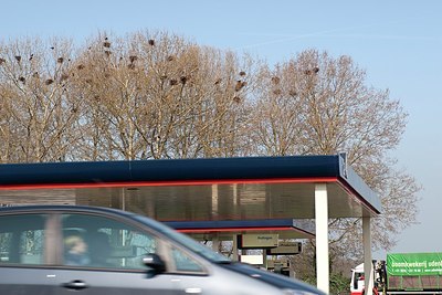BUITEN BEELD Foto: 156028