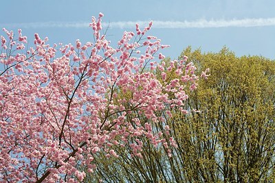 BUITEN BEELD Foto: 156036