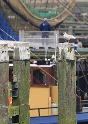 BUITEN BEELD Foto: 156085