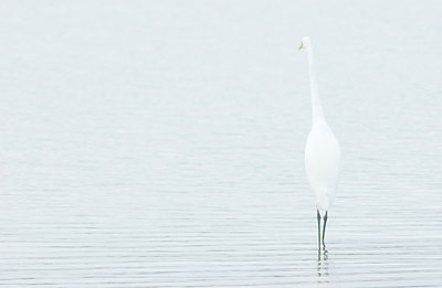BUITEN BEELD Foto: 156112