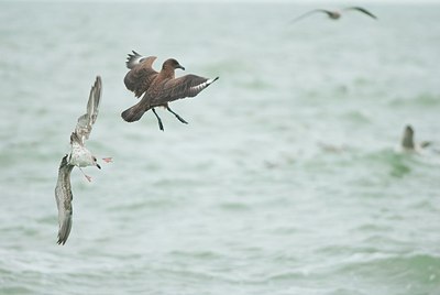 BUITEN BEELD Foto: 156125