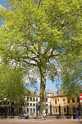 BUITEN BEELD Foto: 156148