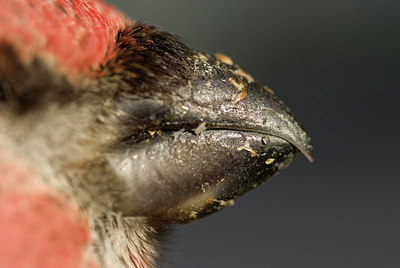 BUITEN BEELD Foto: 156170