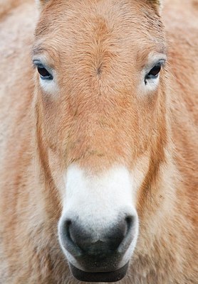 BUITEN BEELD Foto: 156228