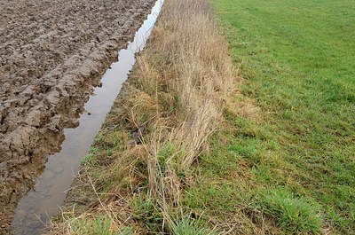 BUITEN BEELD Foto: 156281