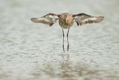 BUITEN BEELD Foto: 156295