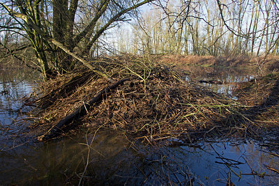 BUITEN BEELD Foto: 156365