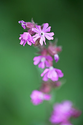 BUITEN BEELD Foto: 156377