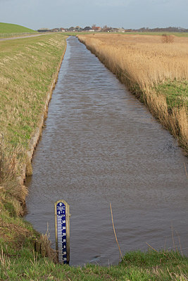 BUITEN BEELD Foto: 156379