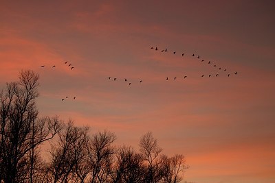 BUITEN BEELD Foto: 156427