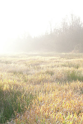 BUITEN BEELD Foto: 156456