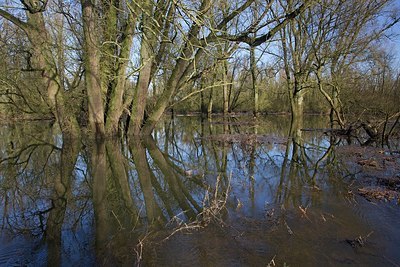 BUITEN BEELD Foto: 156460