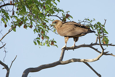 BUITEN BEELD Foto: 156504