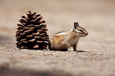 BUITEN BEELD Foto: 156563