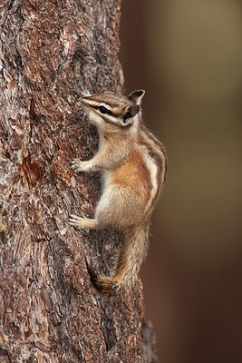 BUITEN BEELD Foto: 156567