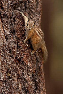 BUITEN BEELD Foto: 156570