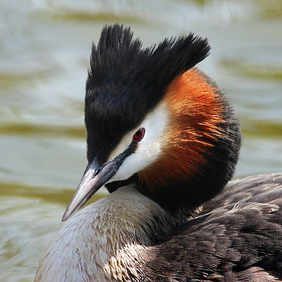 BUITEN BEELD Foto: 156583