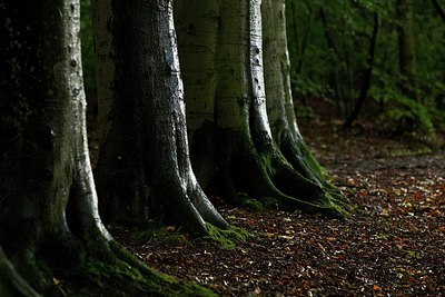 BUITEN BEELD Foto: 156608