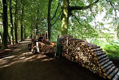 BUITEN BEELD Foto: 156616