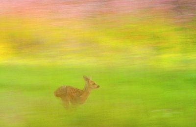 BUITEN BEELD Foto: 156637