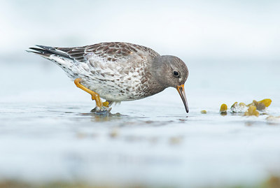 BUITEN BEELD Foto: 156666