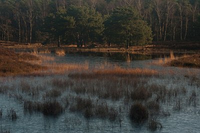 BUITEN BEELD Foto: 156699