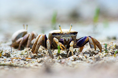BUITEN BEELD Foto: 156733