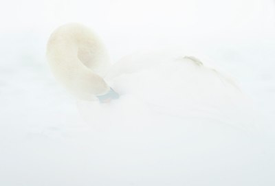 BUITEN BEELD Foto: 156772