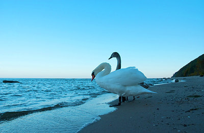 BUITEN BEELD Foto: 156773