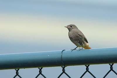 BUITEN BEELD Foto: 156777