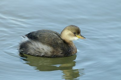 BUITEN BEELD Foto: 156780