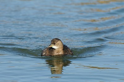 BUITEN BEELD Foto: 156839