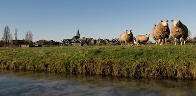 BUITEN BEELD Foto: 156859