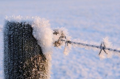 BUITEN BEELD Foto: 156865