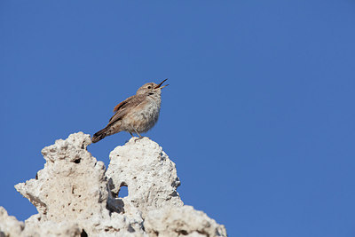 BUITEN BEELD Foto: 156897