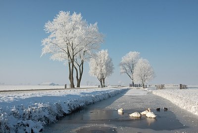 BUITEN BEELD Foto: 156909